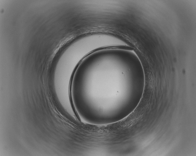 X0000067490731200604071203