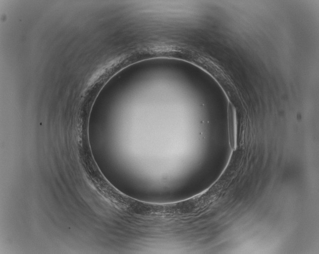 X0000067490732200604071203