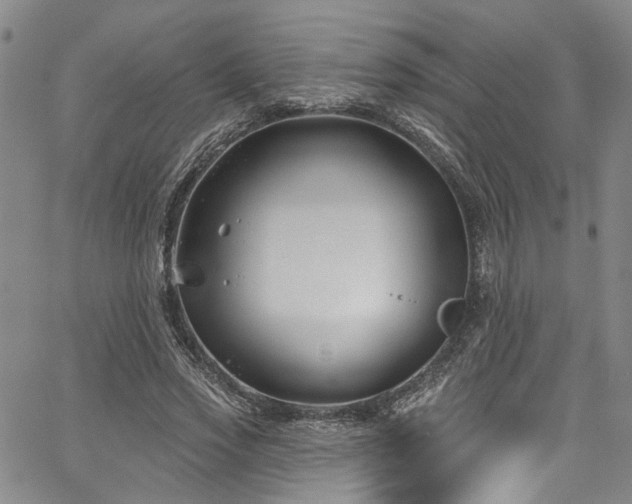 X0000067490733200604071203