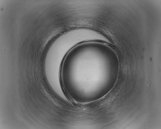 X0000067490735200604071203