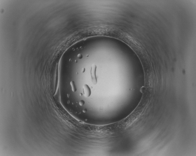 X0000067490737200604071203