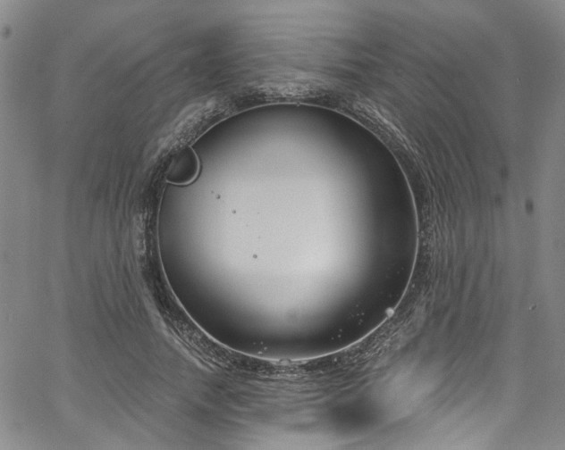 X0000067490738200604071203