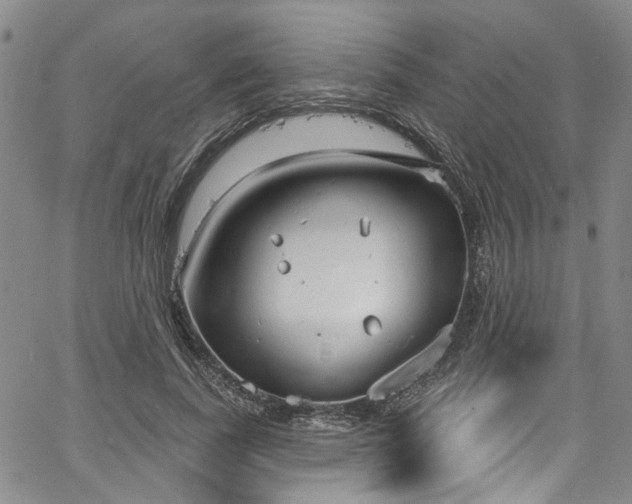 X0000067490739200604071203