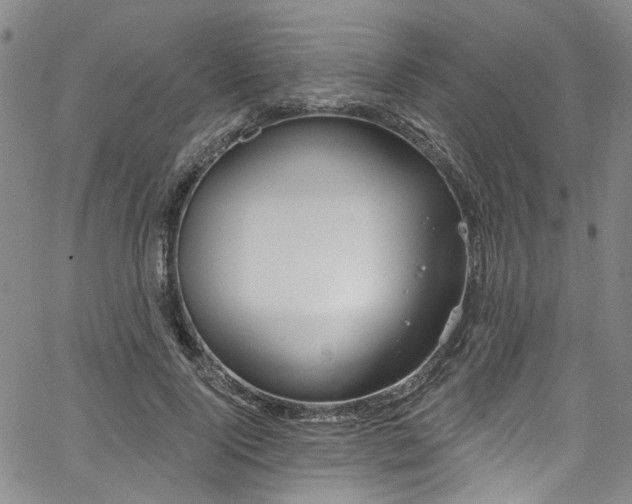 X0000067490740200604071203