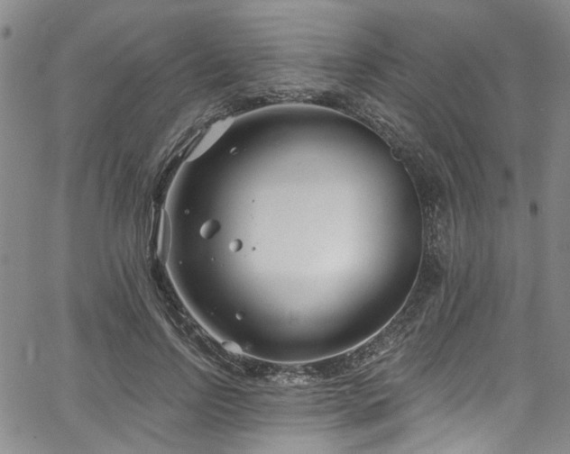 X0000067490742200604071203