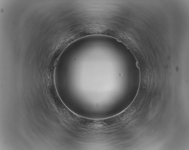 X0000067490743200604071203