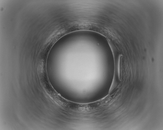 X0000067490744200604071203