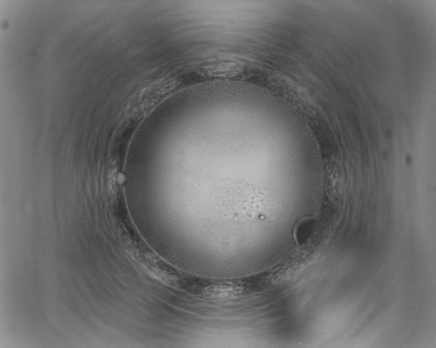 X0000067490745200604071203