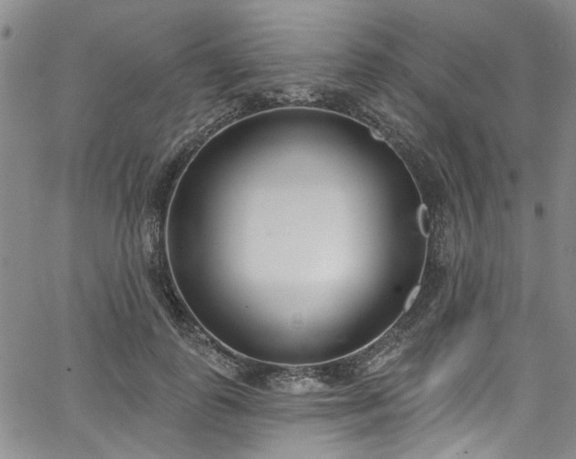 X0000067490747200604071203