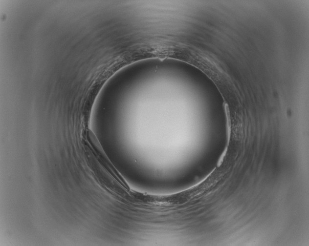 X0000067490748200604071203