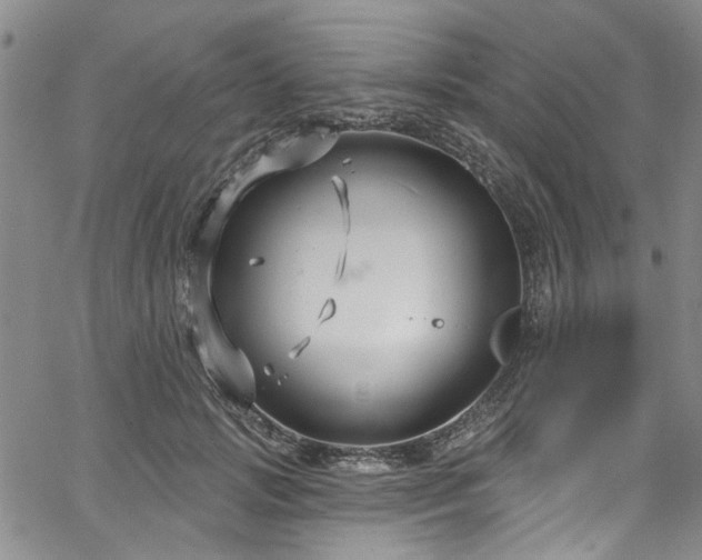 X0000067490749200604071203