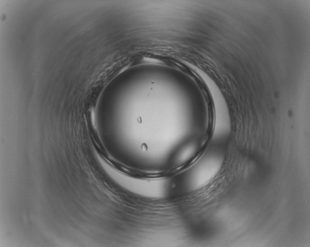 X0000067490750200604071203