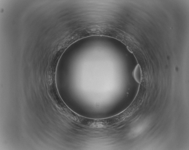 X0000067490751200604071203