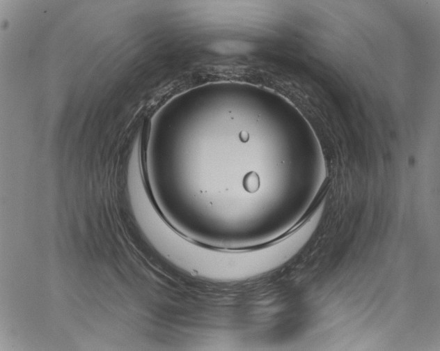 X0000067490752200604071203