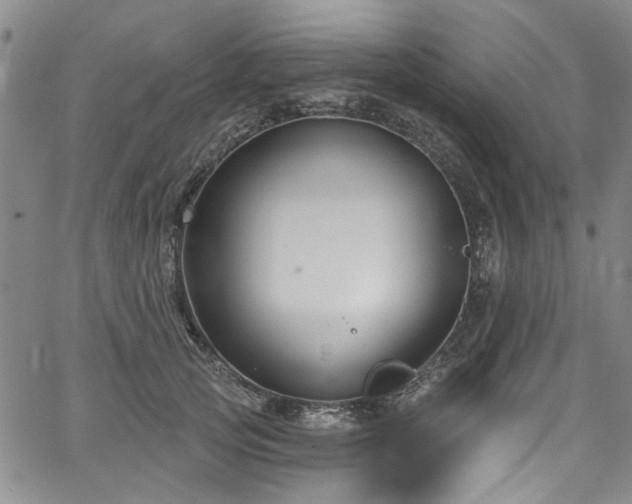 X0000067490753200604071203