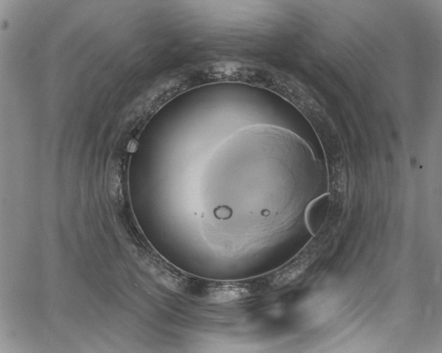 X0000067490754200604071203