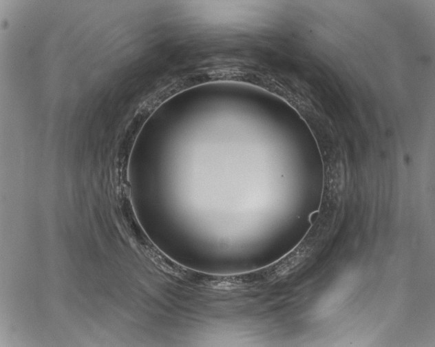 X0000067490755200604071203