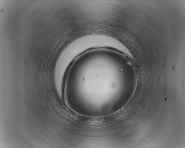 X0000067490756200604071204