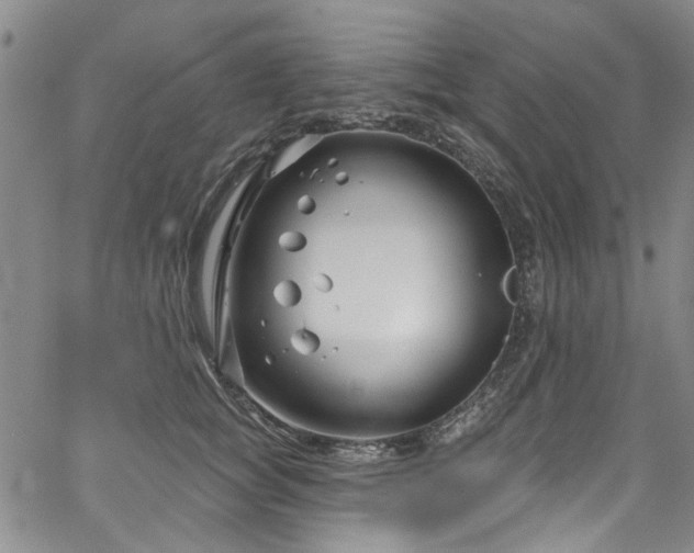 X0000067490757200604071204