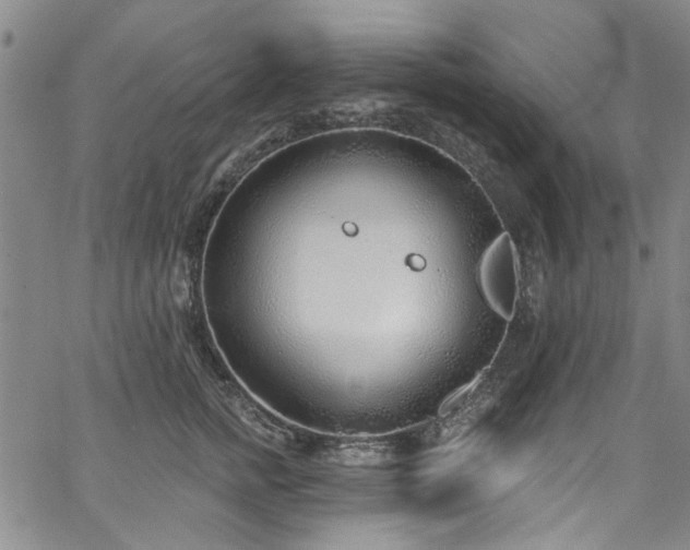 X0000067490758200604071204