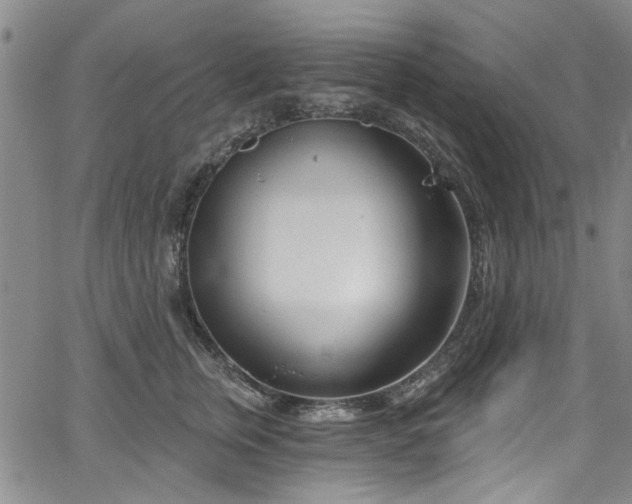 X0000067490759200604071204