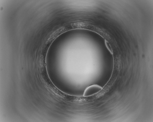 X0000067490760200604071204