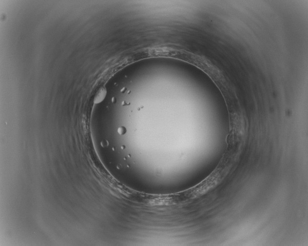 X0000067490761200604071204