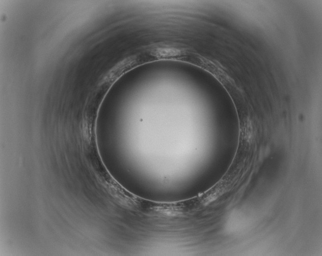 X0000067490763200604071204