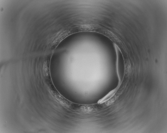 X0000067490764200604071204