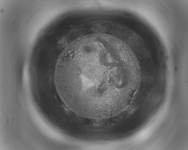 X0000067490765200604071204