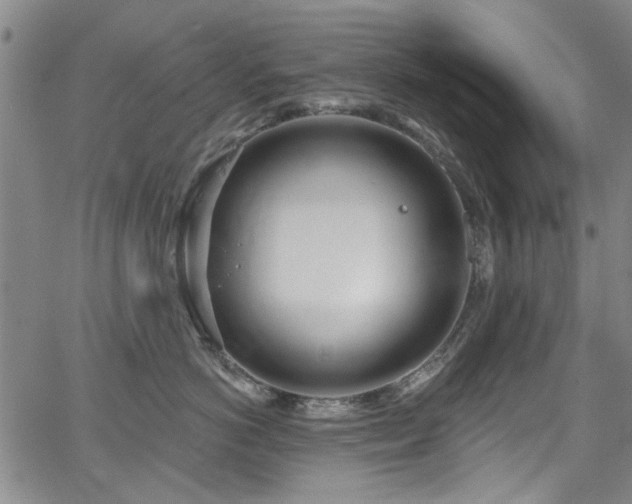 X0000067490766200604071204