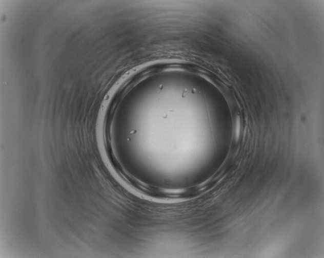 X0000067490767200604071204