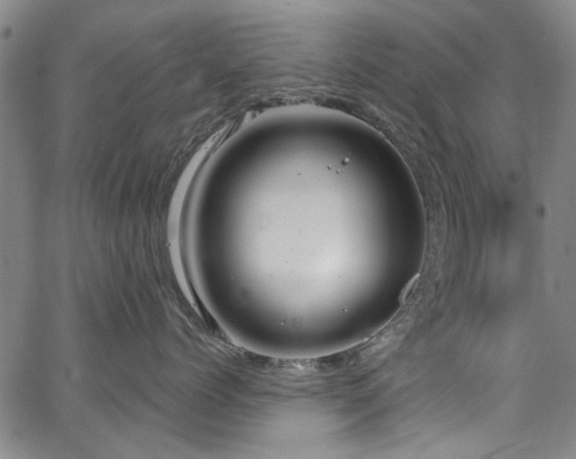 X0000067490768200604071204