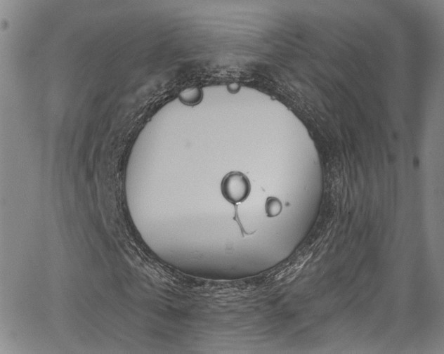 X0000067490769200604071203