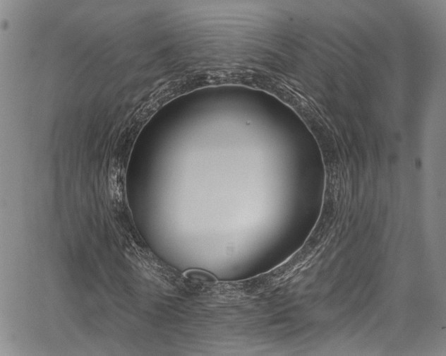 X0000067490770200604071203