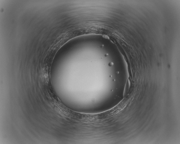 X0000067490771200604071203