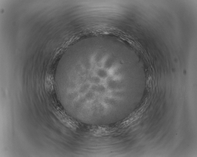 X0000067490772200604071203