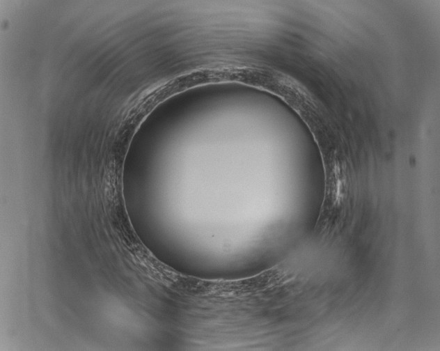 X0000067490773200604071203