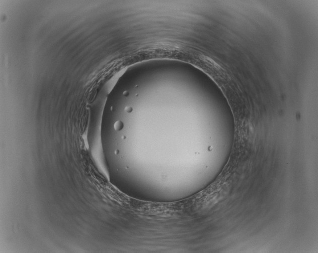 X0000067490774200604071203