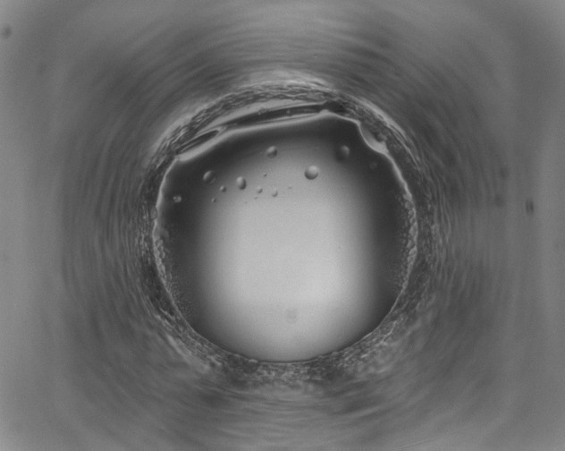 X0000067490775200604071203