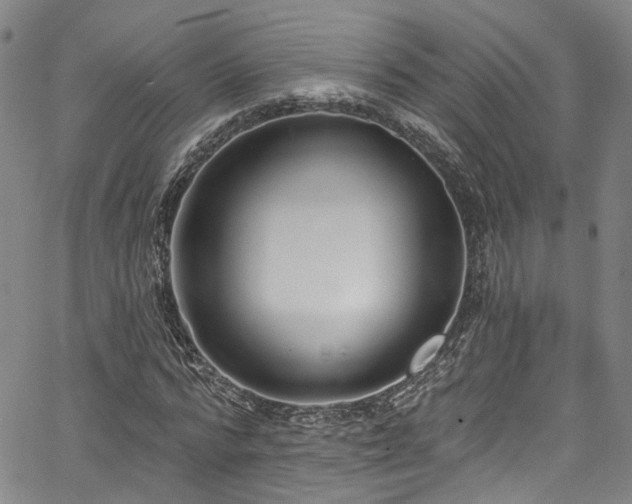 X0000067490776200604071203