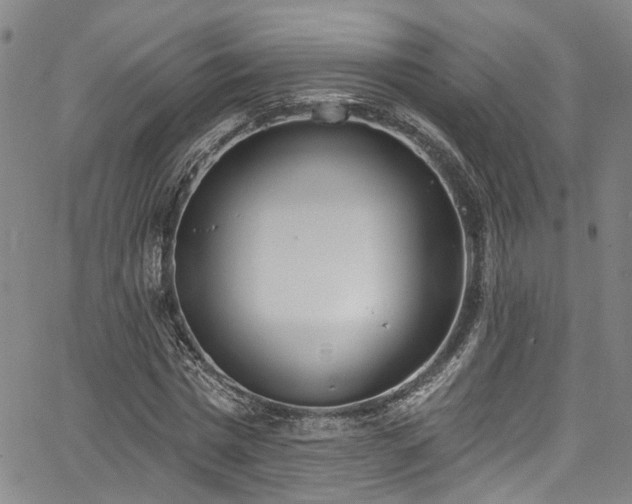 X0000067490777200604071203