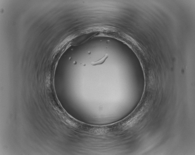 X0000067490778200604071203