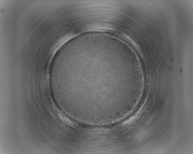 X0000067490779200604071203