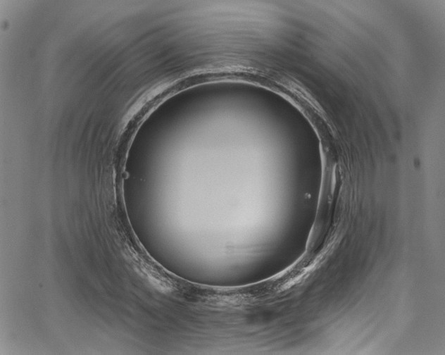 X0000067490781200604071203