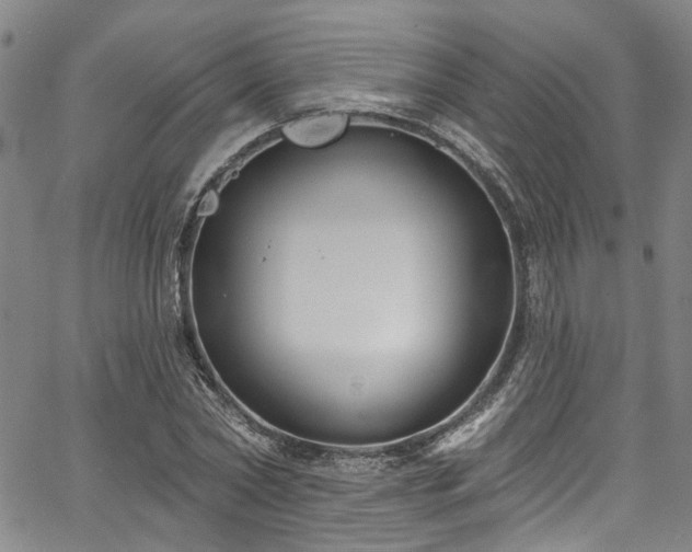 X0000067490782200604071203