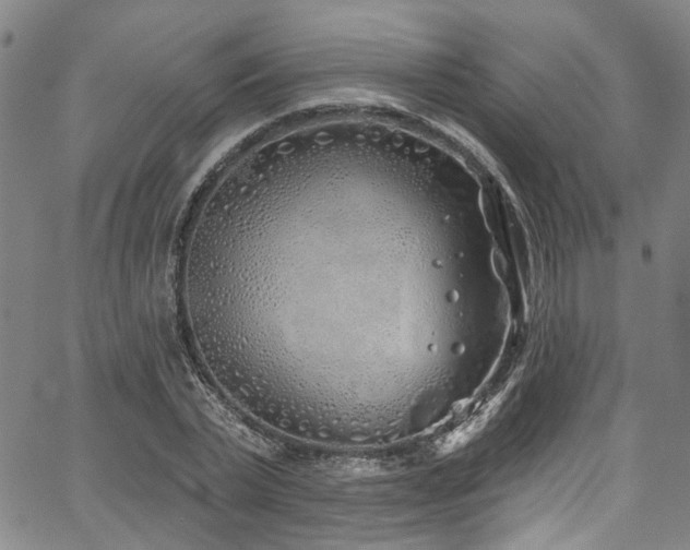 X0000067490783200604071203