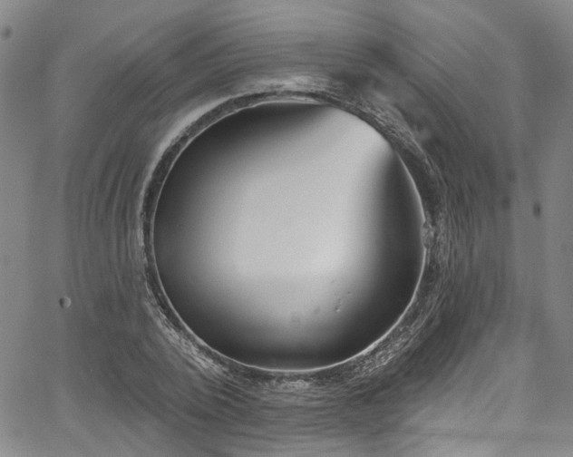 X0000067490784200604071203