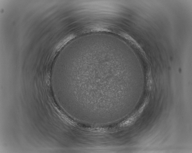 X0000067490785200604071203