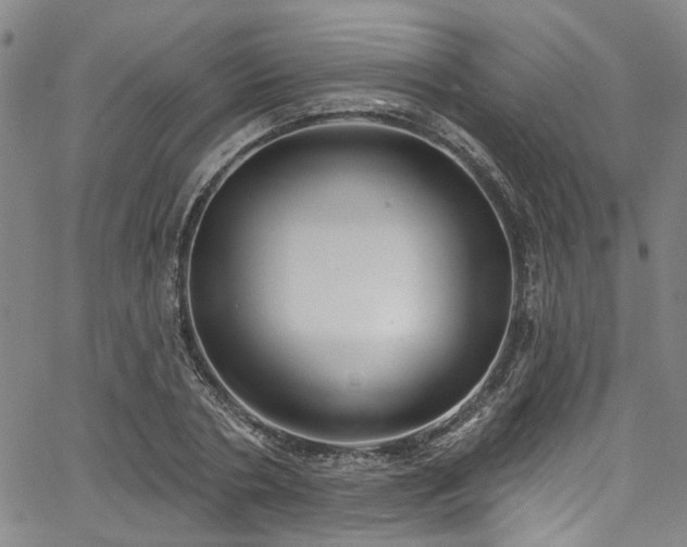 X0000067490786200604071203